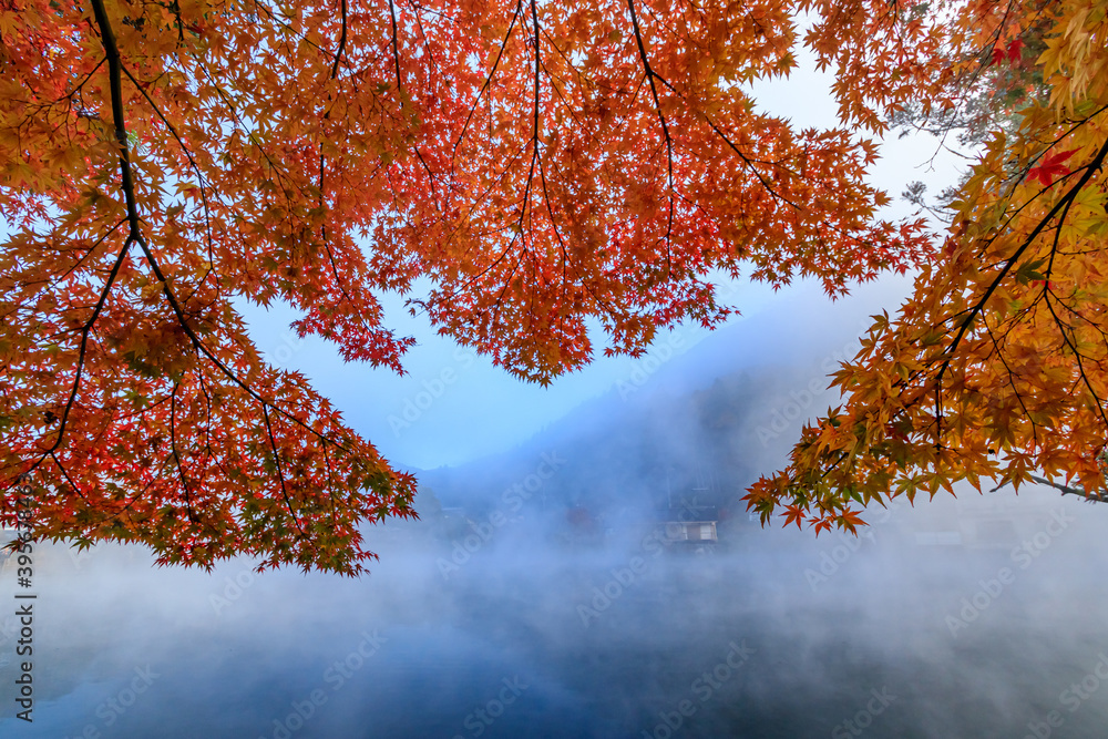 紅葉と早朝の金鱗湖　大分県由布市　
Autumn leaves and Kinrin Lake in the early morning Ooita-ken Yufu city