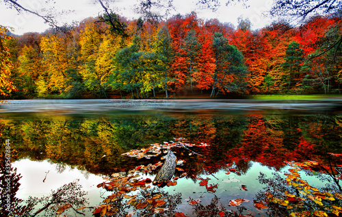 Seven Lakes National Park is located in the Black Sea Region, in the north of Bolu, in the south of Zonguldak, in the east of Düzce, in the east of the province of Mengen. photo