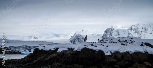 Icebergs and snow capped mountains in the Antarctic Peninsula after passing the Lemaire Channel in Antarctica.