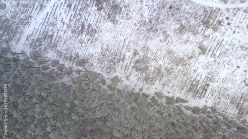 Cutting down trees at the edge of a snow-covered forest in winter in snowy weather. Bird eye view drone shot