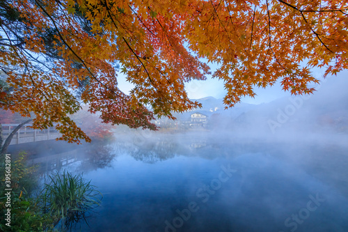                                                     Autumn leaves and Kinrin Lake in the early morning Ooita-ken Yufu city