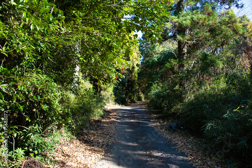 山道