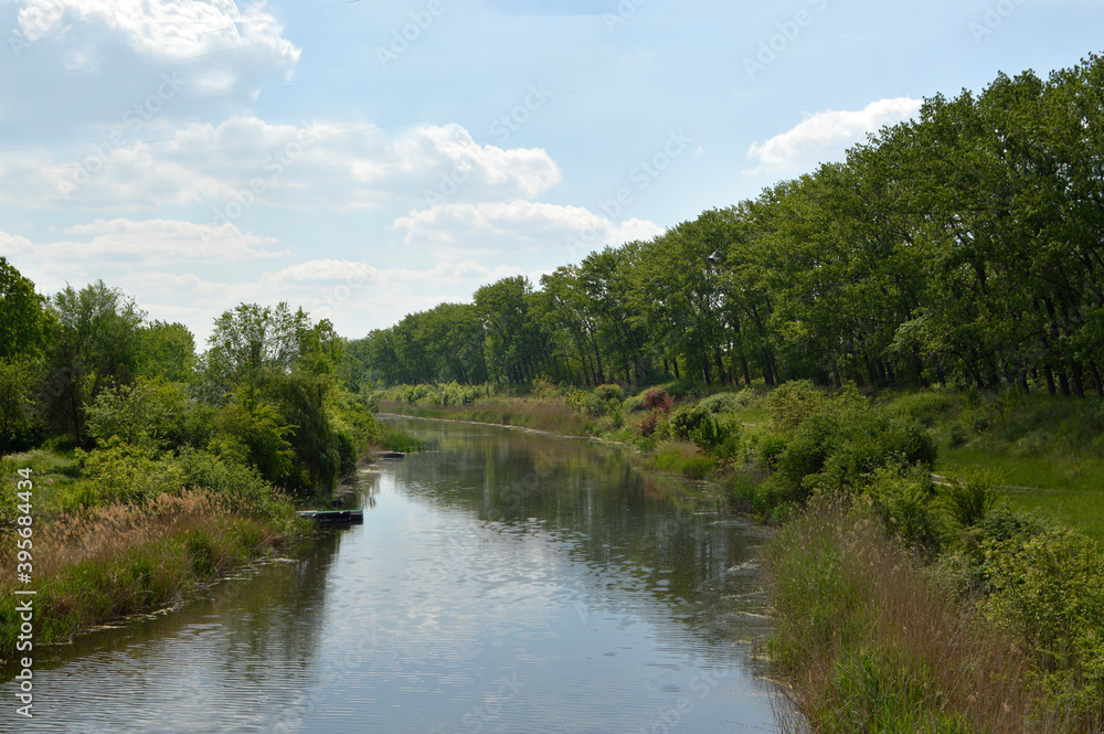 landscape by the river in spring, with green poplar trees and blue sky with white clouds in the background