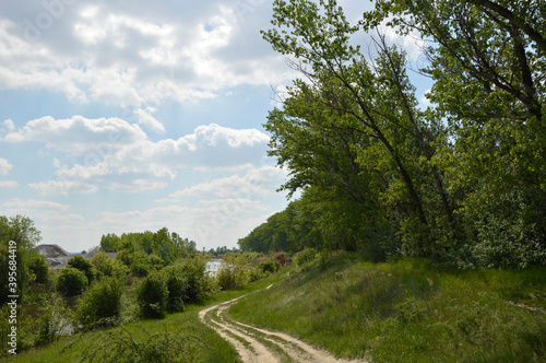 landscape by the river in spring, with green poplar trees and blue sky with white clouds in the background