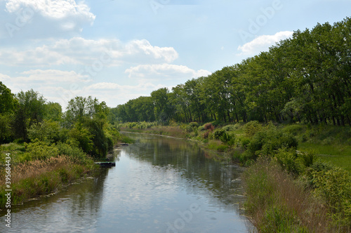 landscape by the river in spring  with green poplar trees and blue sky with white clouds in the background