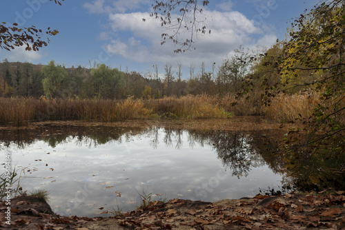 LOEWENSTEIN, GERMANY - Nov 08, 2020: Small lake in autumn photo