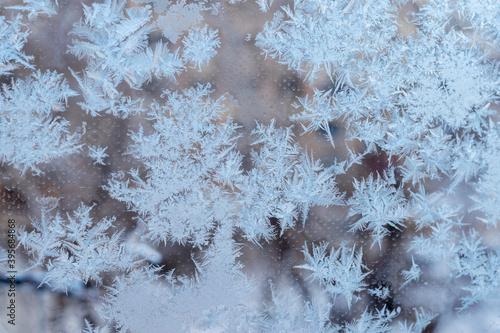 Beautiful snow patterns, water ornaments on transparent glass.Christmas snowflakes. © Денис Прохоров