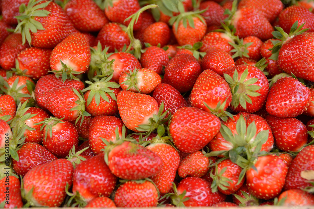 pile of ripe strawberries pile of ripe strawberries