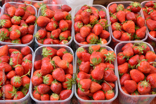 ripe strawberries in the plastic containers