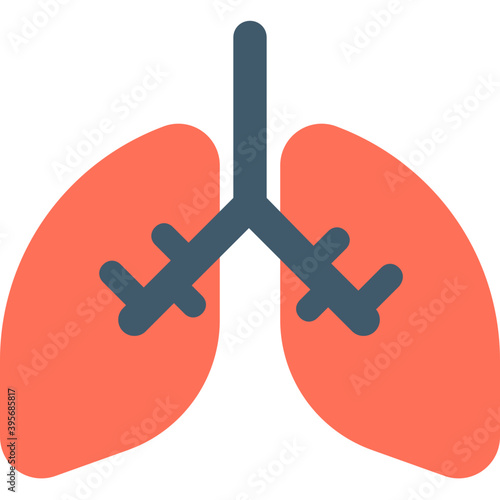 
Lungs Flat Vector Icon
