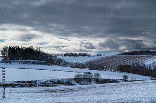 初雪美瑛の丘の風景 © 大西 親文