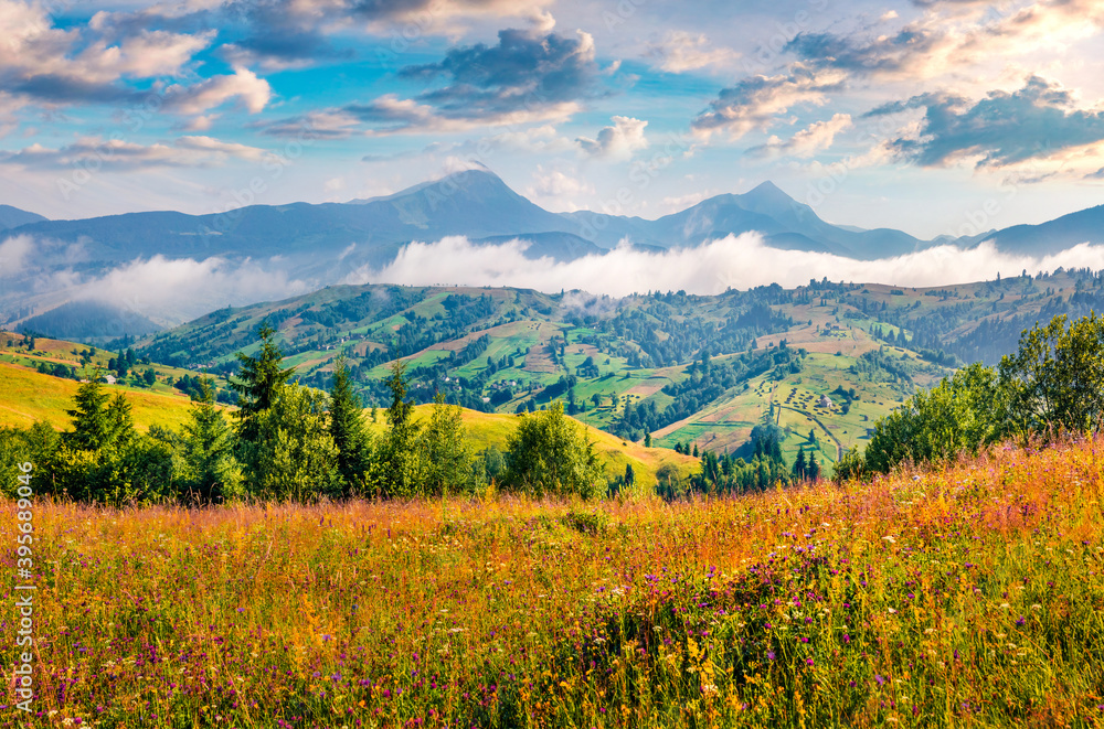 Landscape photography Two highest mountains in Carpathians - Hoverla and Petros in the morning mist. Astonishing summer scene of mountain valley, Yasinya location, Ukraine, Europe.