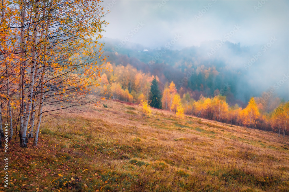 Low cloud overcast. Misty autumn view of Carpathian mountains. Adorable morning scene of mountain valley. Beauty of nature concept background..