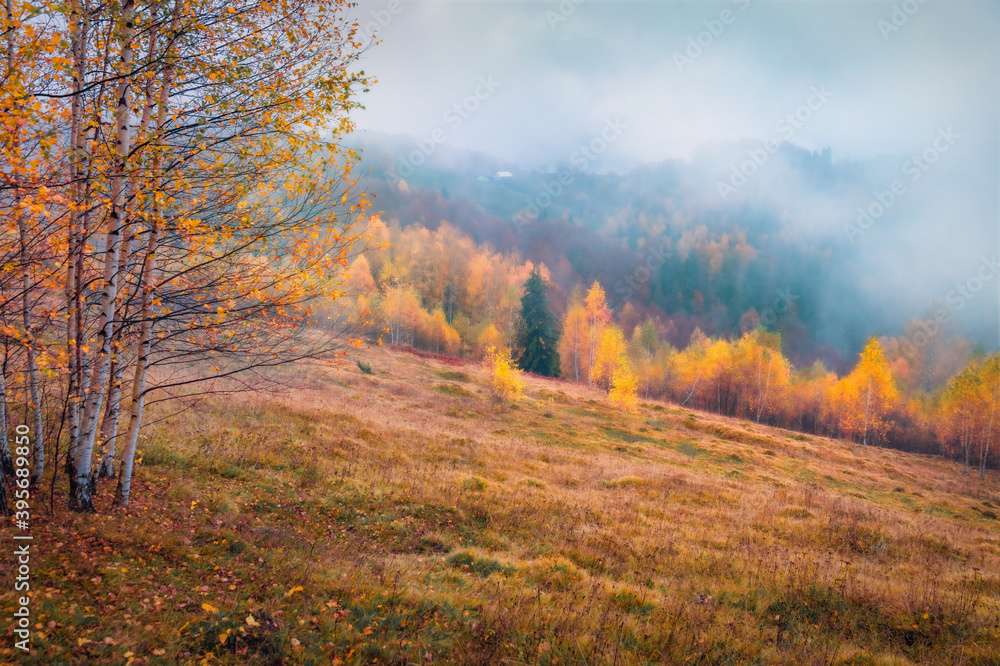 Fototapeta premium Low cloud overcast. Misty autumn view of Carpathian mountains. Adorable morning scene of mountain valley. Beauty of nature concept background..