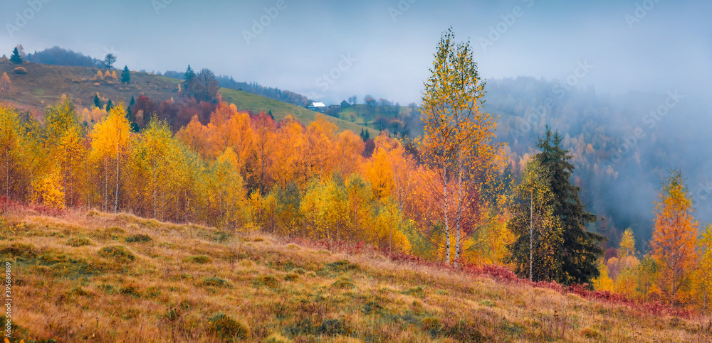 Panoramic autumn view of Carpathian mountains, Ukraine, Europe. Calm morning scene of mountain valley. Beauty of nature concept background.
