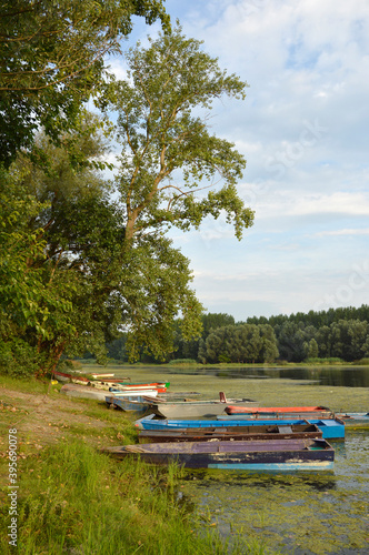 colorful wooden fishing boats by the river Danube in Vojvodina