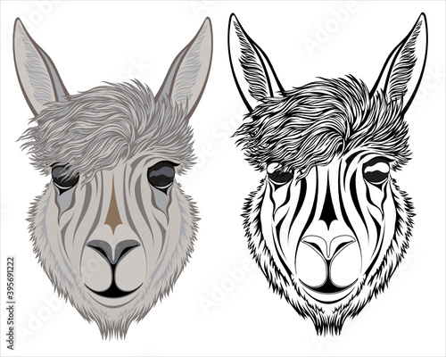 Stylized alpaca face for tattoos, logos and emblems.