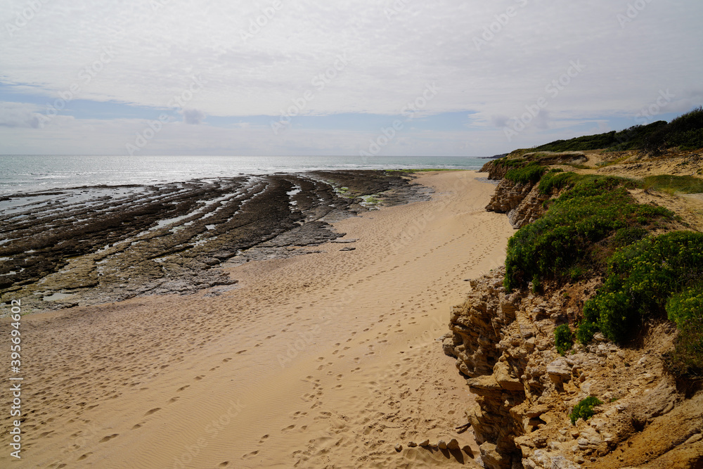 beach low tide in ile noirmoutier island in vendee atlantic ocean France beach low tide in ile noirmoutier island in vendee atlantic ocean France