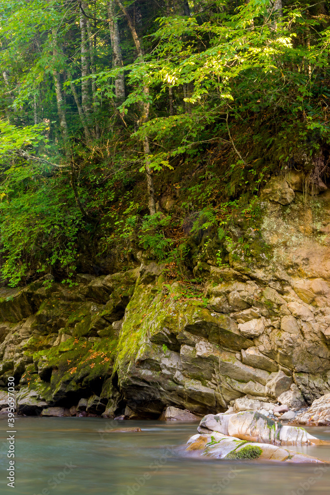 Mountain river in forest. Water on a stones Mountain river in forest. Water on a stones
