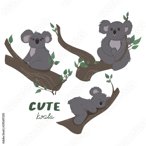 Photography Set of vector children's colorful illustration of three koalas on a branch in a cartoon hand drawn style for printing on children's clothing, interior design, packaging, stickers
