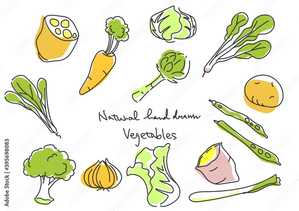 シンプルでお洒落な線画の野菜イラストセット Stock Illustration Adobe Stock