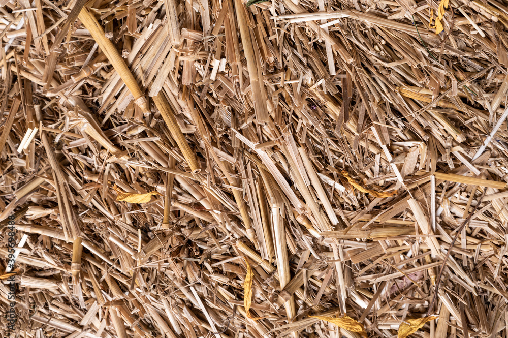 Hay or straw texture background Hay or straw texture background