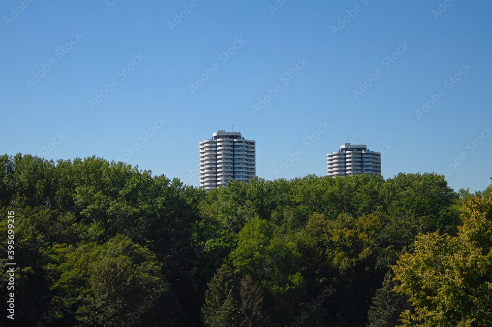 Urban skyscrapers above the treetops.