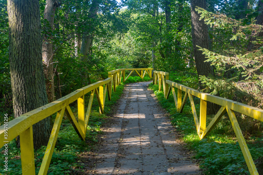 Forest path for walking with yellow wooden railings. Ecology concept, forest protection. Selective focus Forest path for walking with yellow wooden railings. Ecology concept, forest protection. Selective focus