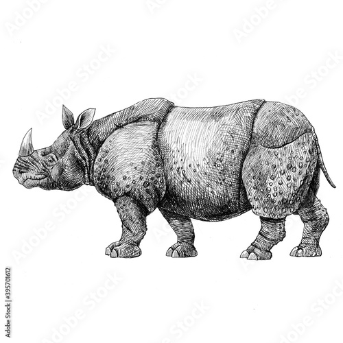 Beautiful stock pencil illustration with safari rhinoceros animal.