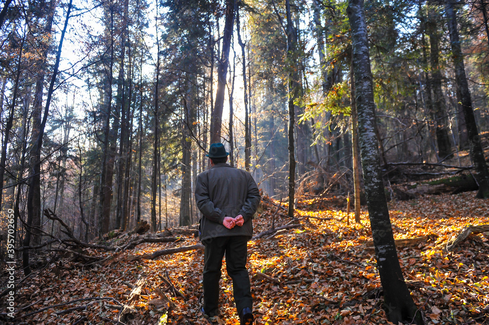 Romanian forest ranger inside a pine and broadleaf forest. Romanian forest ranger inside a pine and broadleaf forest.