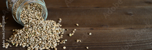 organic dried hemp food seeds spilling out of the glass jar on a wooden background. space for text. banner