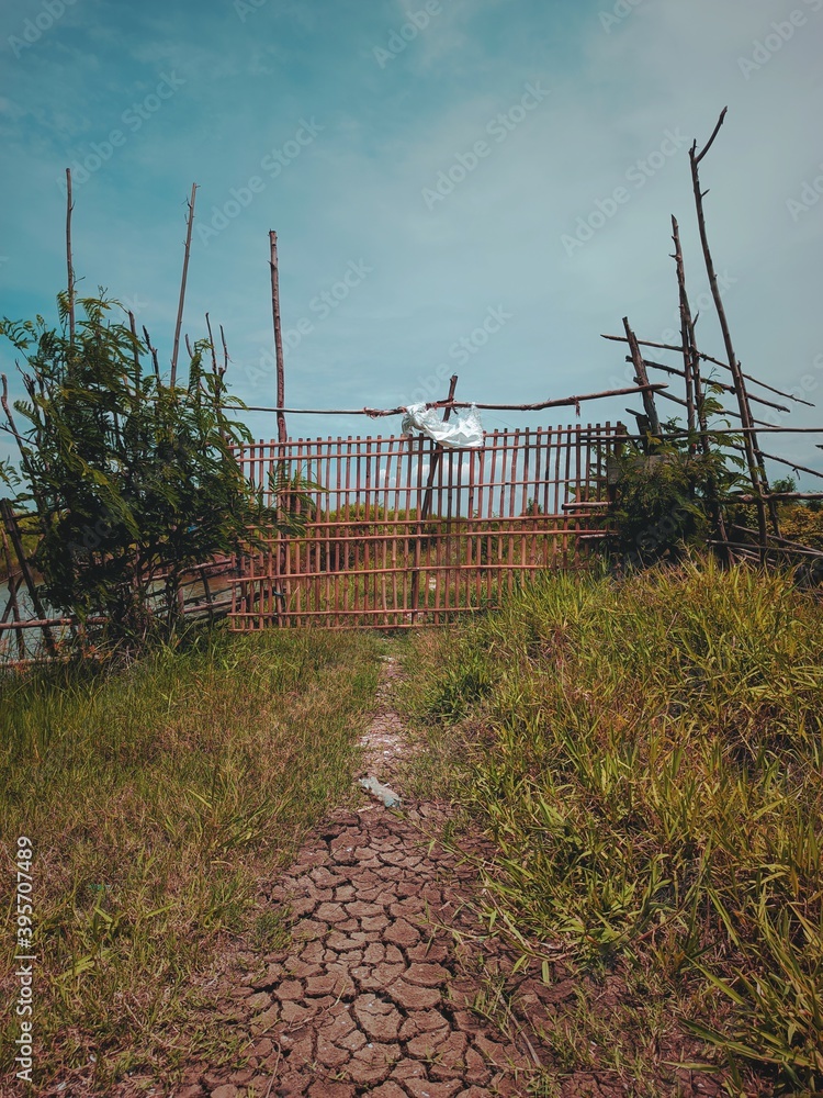 Obraz premium fence on the path