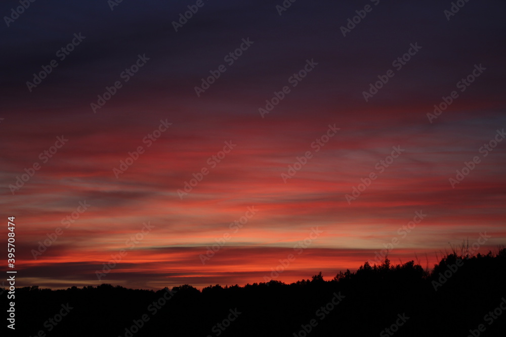 Ciel Ciel