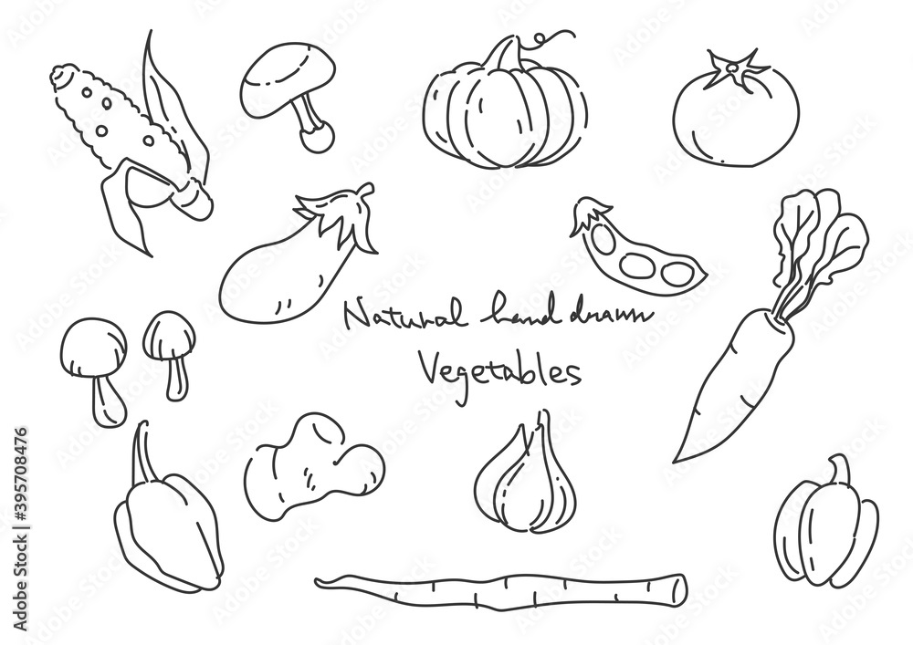 シンプルでお洒落な線画の野菜イラストセット 黒線のみ Stock Vector Adobe Stock シンプルでお洒落な線画の野菜イラストセット 黒線のみ Stock Vector Adobe Stock