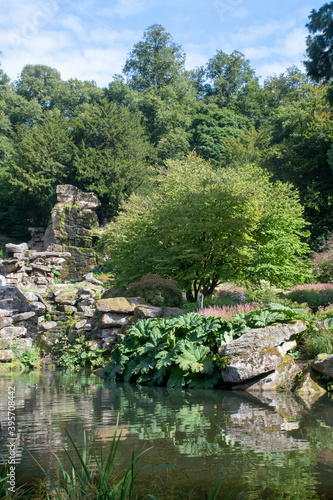 Still pool in Garden with Large Rock and Gunnera plant