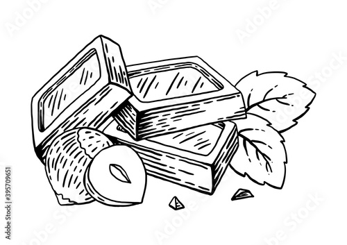 Slices of chocolate with hazelnuts and mint. Hand drawn food sketch. Vintage style. Black and white vector illustration isolated on white background.