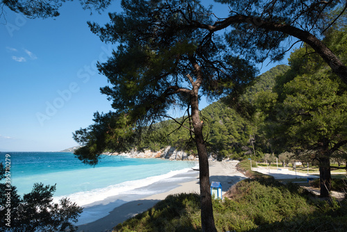 Fototapeta Naklejka Na Ścianę i Meble -  beach with trees, Kastani beach ,Skopelos island,Greece