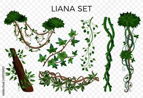 Tropical Lianas Transparent Set 