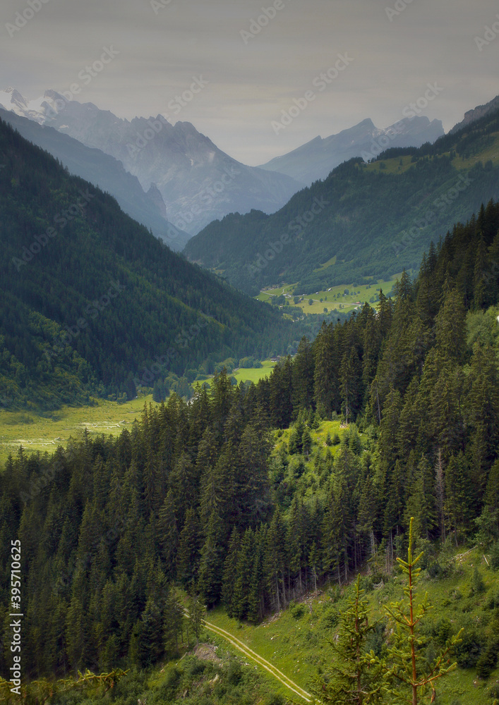 Obraz premium Paisaje verde