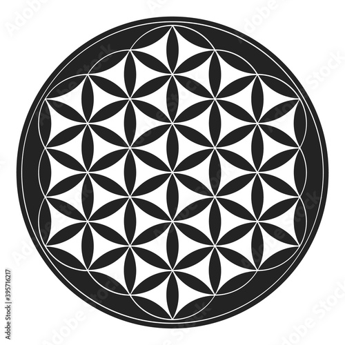 vector icon with ancient symbol flower of life 