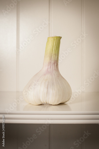 Knoblauch photo