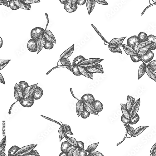 Plum tree branch. Line art, sketch, engraving, line art. Seamless pattern. Isolated vector illustration.