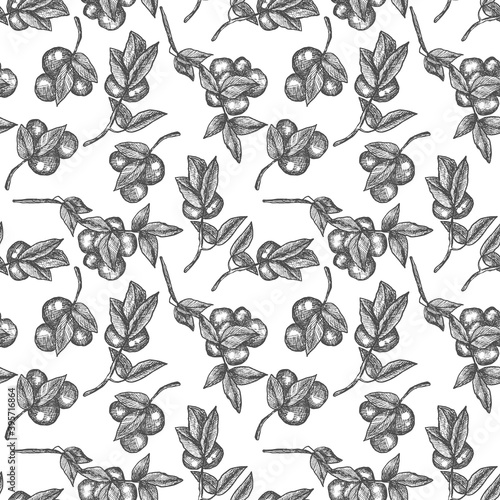 Plum tree branch. Line art, sketch, engraving, line art. Seamless pattern. Isolated vector illustration.