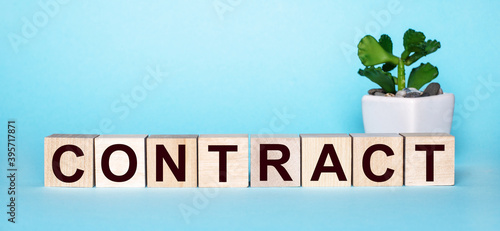 The word CONTRACT is written on wooden cubes near a flower in a pot on a light blue background