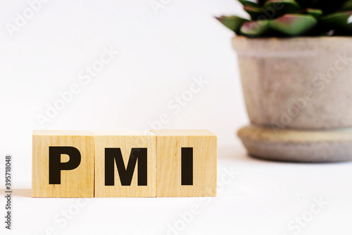 On a light background, wooden cubes with the inscription PMI and a flower in a pot. Defocus photo