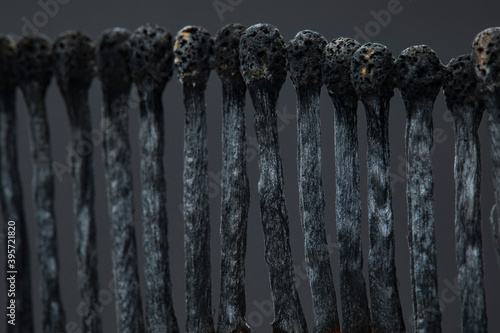 Row of burnt matches on a dark background.