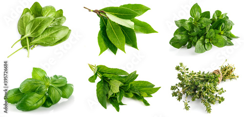 Collage mix set of Spinach bunch of fresh green leaf. Healthy eating natural organic vegetable. Greens with bed, isolated on white background.