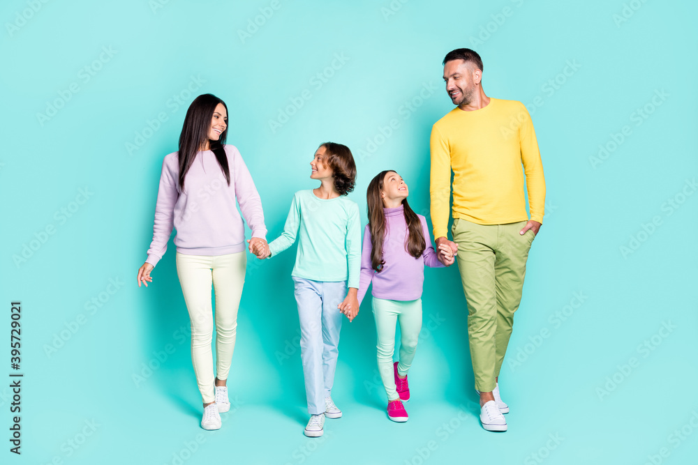 Fototapeta premium Photo portrait of full family looking at each other holding hands walking isolated on vivid cyan colored background