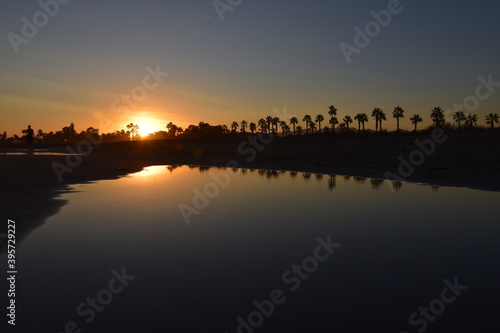 High quality image. Natural landscape of palm groves that are reflected in the water.