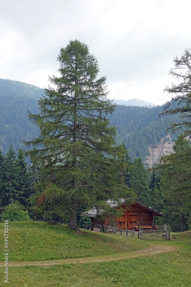 Almhuette im Eggental Almhuette im Eggental